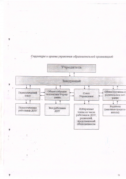 Структура и органы управления образовательной организацией